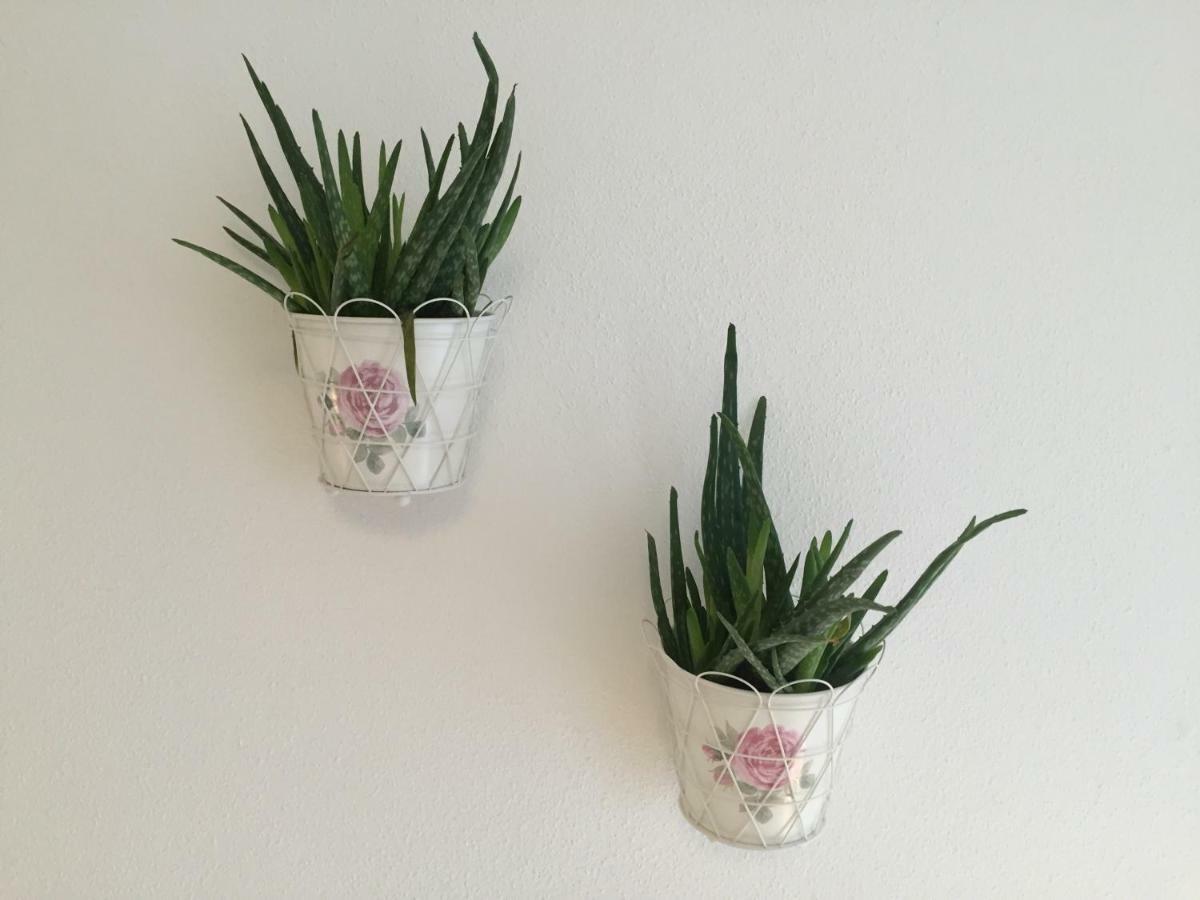 Nigler Apartament *