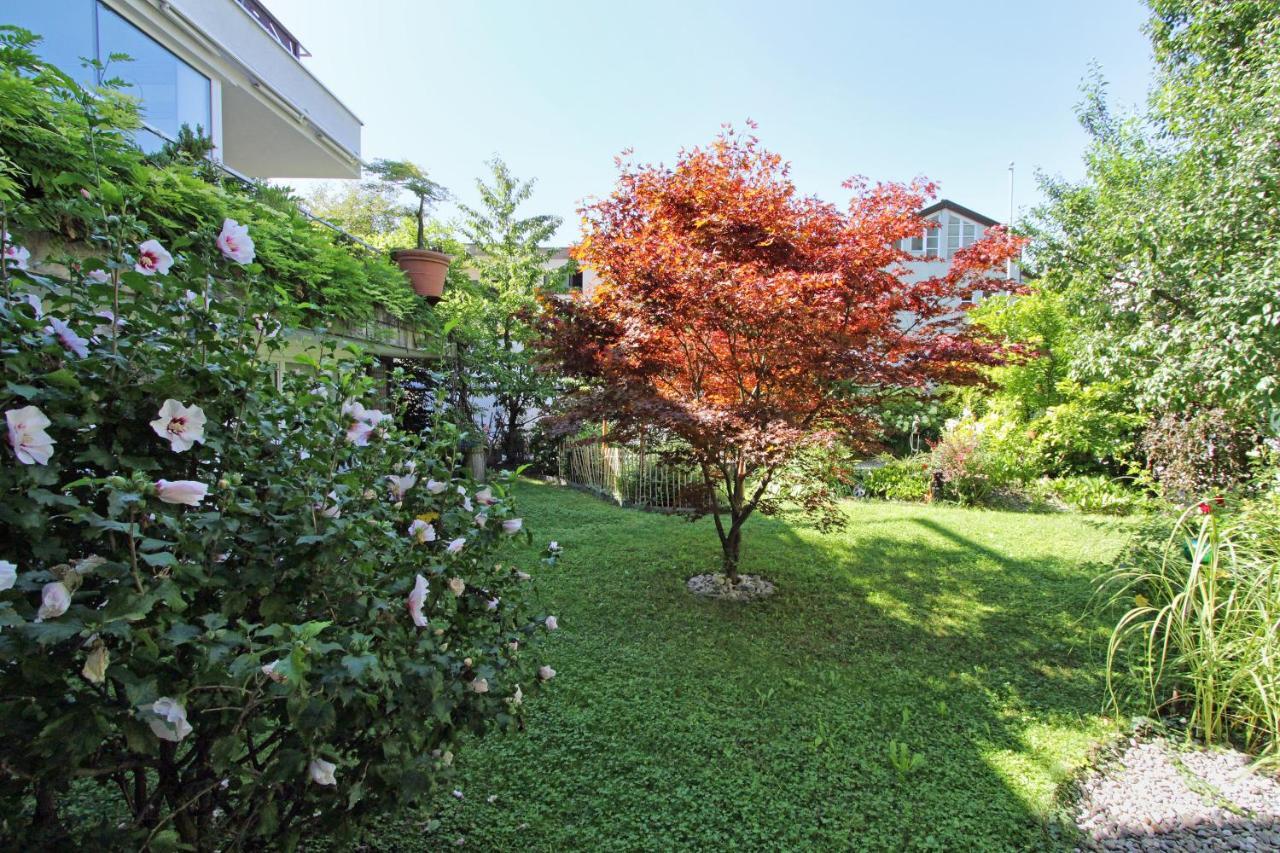 Nigler Apartament